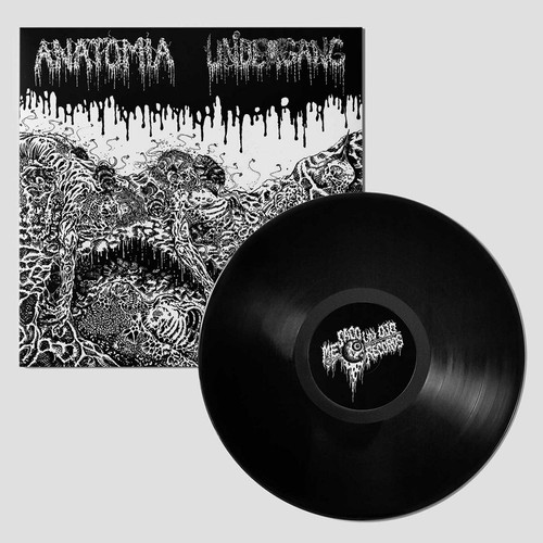 Undergang anatomia split - anatomia,