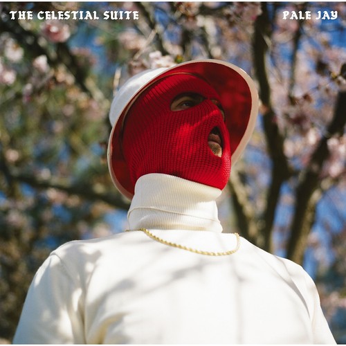 Pale jay the - pale,