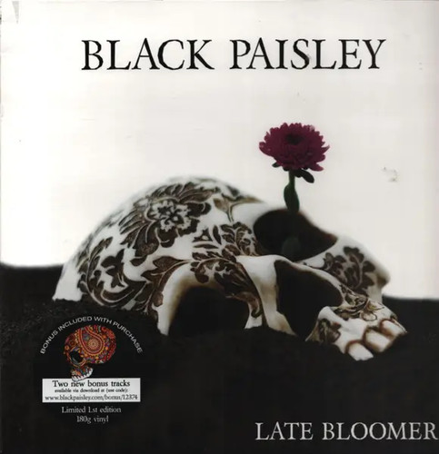 Black paisley late - black,