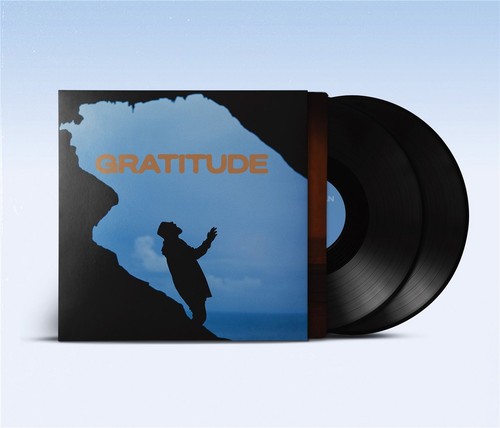 Gentleman gratitude 2lp black - gentleman,